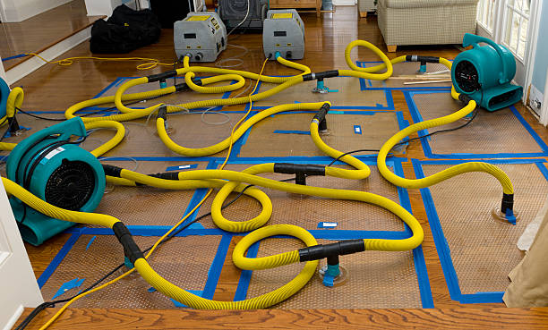 Professional Sewage Cleanup technician working in Millis, MA